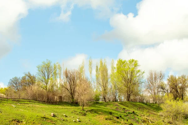 Landskap Green Field Hills Sky Med Moln — Stockfoto