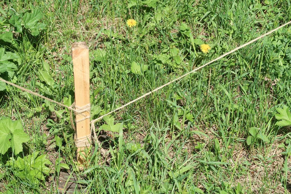 Wooden Stake Ground Rope Green Grass — Stock Photo, Image