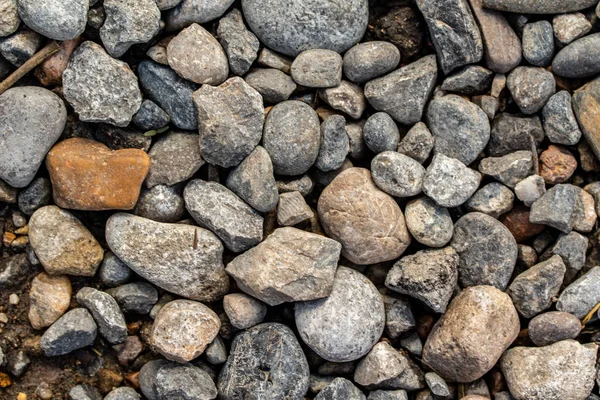 Rund Meer Kieselsteine Hintergrund — Stockfoto