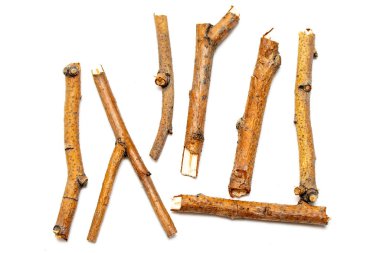 Beyaz arka planda yalıtılmış kuru dalları makro ağaçları. Bir dizi snags.