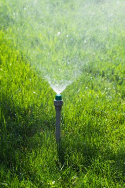 Sulama sistemi bokeh arka plan ile yeşil çim sulama.