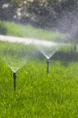 Sulama sistemi bokeh arka plan ile yeşil çim sulama.