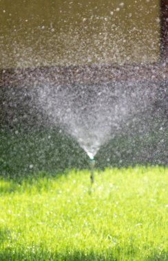 Sulama sistemi bokeh arka plan ile yeşil çim sulama.