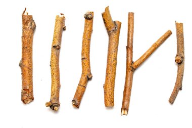 Beyaz arka planda yalıtılmış kuru dalları makro ağaçları. Bir dizi snags.