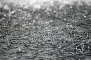 Bulanık arka plan ile arka planda sıçraması su büyük damla