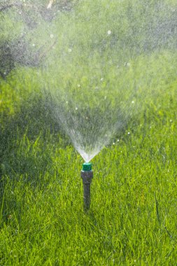 Sulama sistemi bokeh arka plan ile yeşil çim sulama.