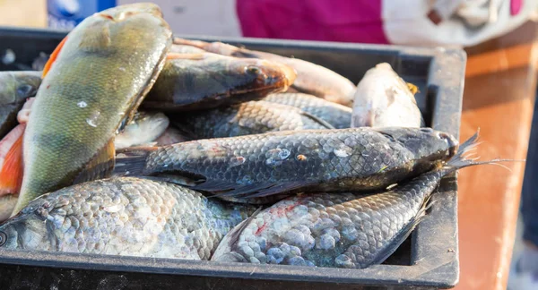 Stole Ryby Očistěte Šupin Vyjměte Vnitřnosti Oloupání Filet Čerstvých Ryb — Stock fotografie