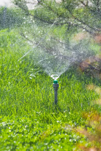 Irrigation System Watering Green Grass Bokeh Background — Stock Photo, Image