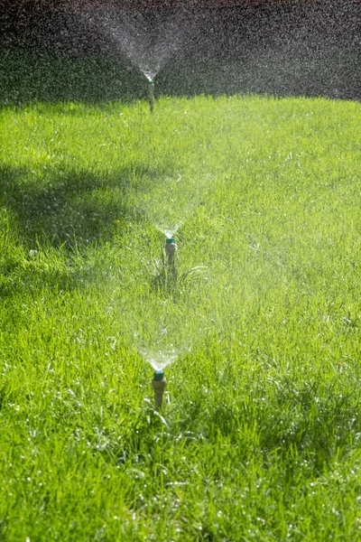 ボケ背景と緑の芝生に散水灌漑システム — ストック写真