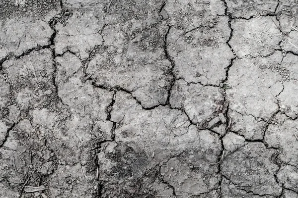 Background Cracked Earth Black Earth Texture — Stock Photo, Image
