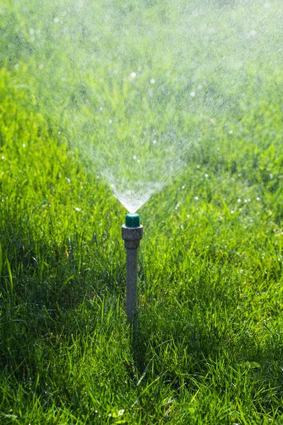 Système Irrigation Arrosage Herbe Verte Avec Fond Bokeh — Photo