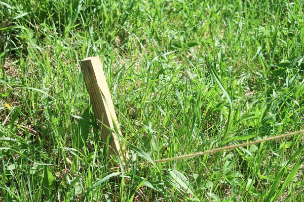 Wooden stake in the ground with a rope in the green grass.