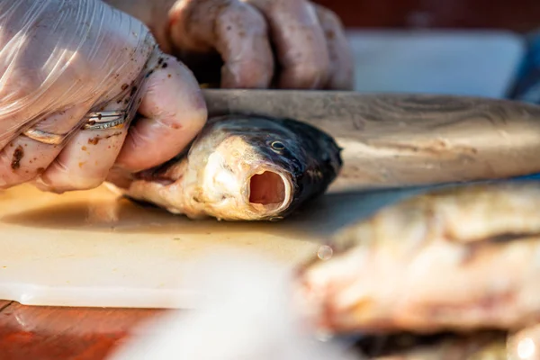 On the table, clean the fish from the scales and remove the entrails. Peeling and fillet of fresh fish that use a knife to clean the fish. Seafood cooking.