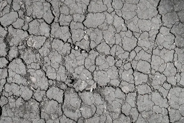 背景ひび割れ土 黒土の質感 — ストック写真