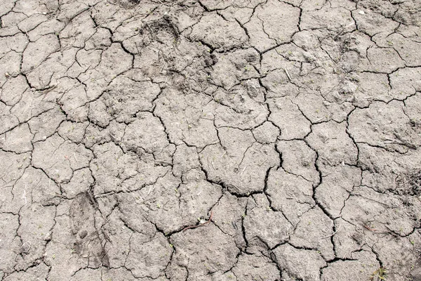 乾燥した割れた地球の灰色の背景 — ストック写真