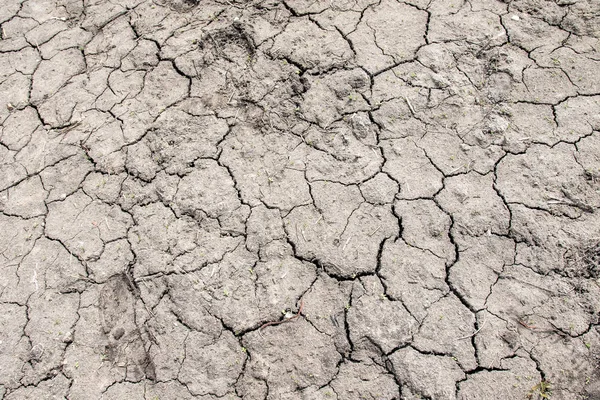 Grijze Achtergrond Van Gedroogde Gekraakte Aarde — Stockfoto