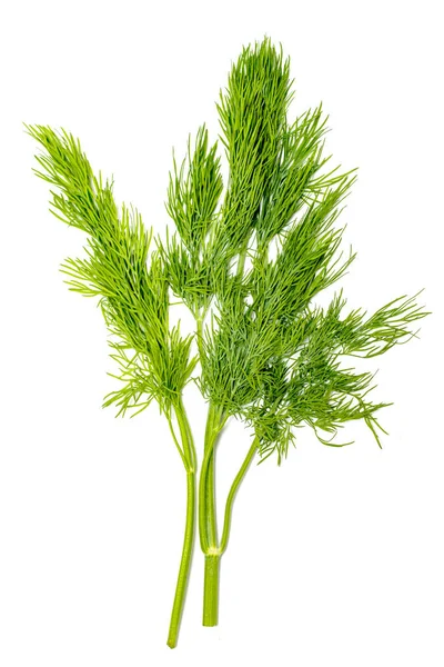 Dill Färsk Sallad Gröna Grenar Dill Isolerad Vit Bakgrund Vegansk — Stockfoto