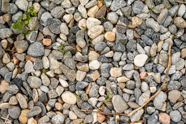 丸い海の小石の背景 — ストック写真