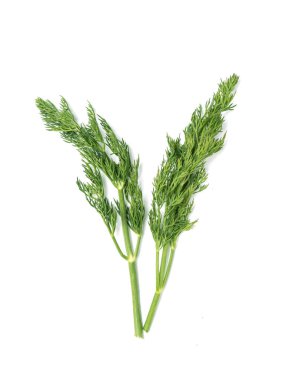 Yeşil maydanozlu dereotu beyaz arka planda izole edilmiş..