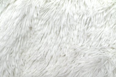 Tasarımcılar için tüylü kürk dokusu, yakın plan, beyaz yün halı. Beyaz arka plan desenli beyaz yün. - Evet. Beyaz pürüzsüz pamuk.