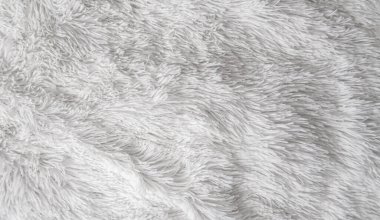 Tasarımcılar için tüylü kürk dokusu, yakın plan, beyaz yün halı. Beyaz arka plan desenli beyaz yün. - Evet. Beyaz pürüzsüz pamuk.