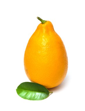 Beyaz arka planda izole edilmiş olgun sarı limon..