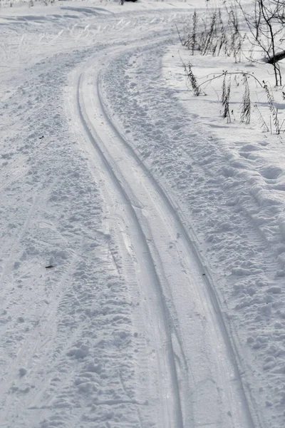Lyžařská Dráha Sněhu Zimní Příroda — Stock fotografie