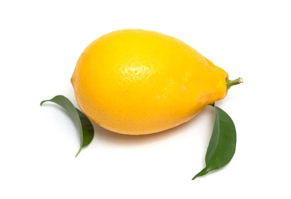 Lemon Kuning Matang Diisolasi Pada Latar Belakang Putih — Stok Foto