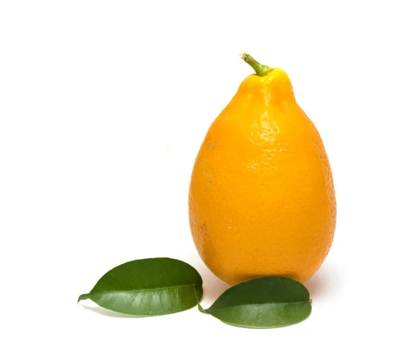 Reife Gelbe Zitrone Isoliert Auf Weißem Hintergrund — Stockfoto