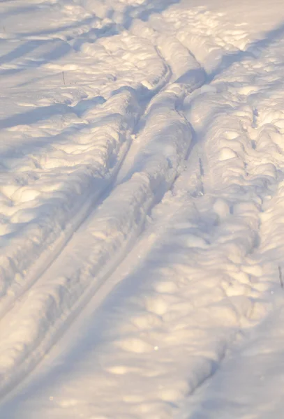 Ski Track Snow Winter Nature — Stock Photo, Image