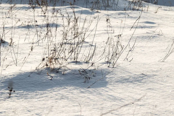 Neve Branca Dia Ensolarado Inverno Textura Neve Paisagem Inverno — Fotografia de Stock