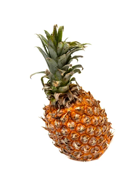Ananas Tropiska Frukter Och Gröna Grenar Vit Bakgrund — Stockfoto