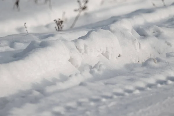 Sentier Automobile Dans Neige Hiver Nature — Photo