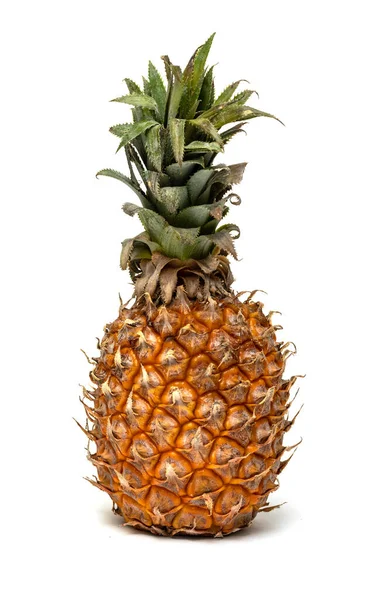 Ananas Tropické Ovoce Zelené Větve Bílém Pozadí — Stock fotografie