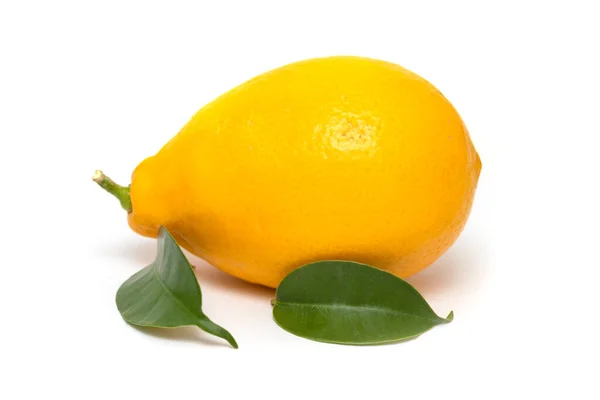 Reife Gelbe Zitrone Isoliert Auf Weißem Hintergrund — Stockfoto