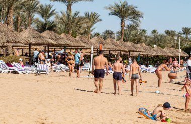 Sharm El Sheikh, Mısır - 1 Şubat 2020. Deniz kenarındaki plaj salonları, şemsiyeler, insanlar dinleniyor. Deniz kenarında yoğun bir yaz tatili. Güneşli bir gün, güneş banyosu, yüzme.