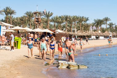 Sharm El Sheikh, Mısır - 1 Şubat 2020: Deniz kenarında yoğun bir yaz tatili. Güneşli bir günde insanlar denizde ve sahilde, güneşleniyorlar, yüzüyorlar.