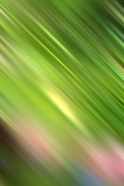 Bulanık yeşil arka plan hareket halinde. Kamera hareketi.