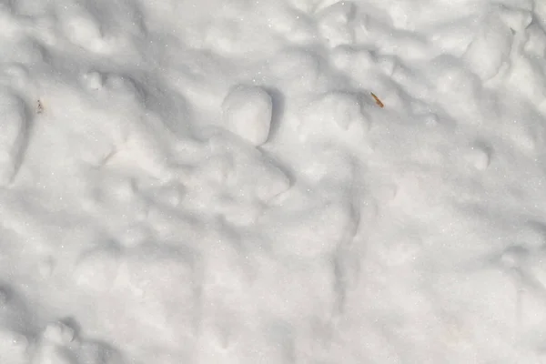 Snow Cover Snowdrift Fundo Neve Textura Neve — Fotografia de Stock