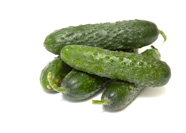 Fresh Small Cucumbers Pimples White Background Macro Photo Food Vegetable — Stock Photo, Image