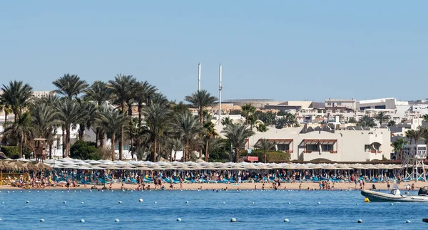 Sharm Sheikh Egypten Februari 2020 Stranden Solstolar Vid Havet Paraplyer — Stockfoto