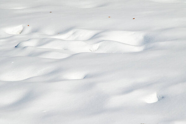 Snow background, light shadow, steppe snow cover. Large white snowy winter background.