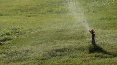 Sulama Sistemi Sulama Yeşil çimen, bulanık arkaplan