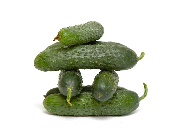 Verse Kleine Komkommers Met Puistjes Een Witte Achtergrond Macro Foto — Stockfoto