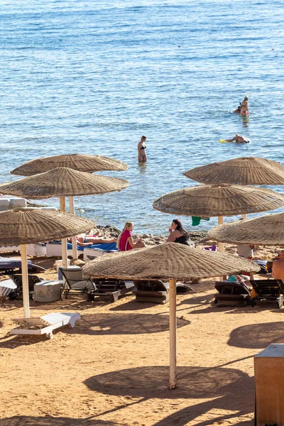 エジプトのエルシェイクを傷つける 2020年2月1日 海による大規模な夏休み 海とビーチで晴れた日の人々 日光浴 — ストック写真