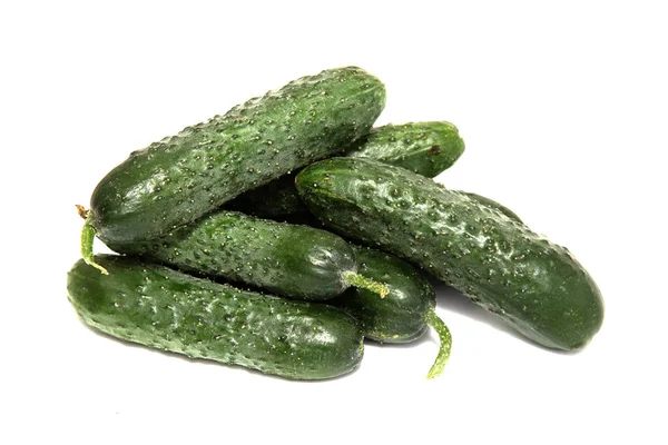 Fresh Small Cucumbers Pimples White Background Macro Photo Food Vegetable — Stock Photo, Image