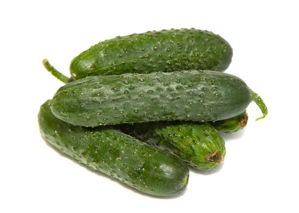 Fresh Small Cucumbers Pimples White Background Macro Photo Food Vegetable — Stock Photo, Image