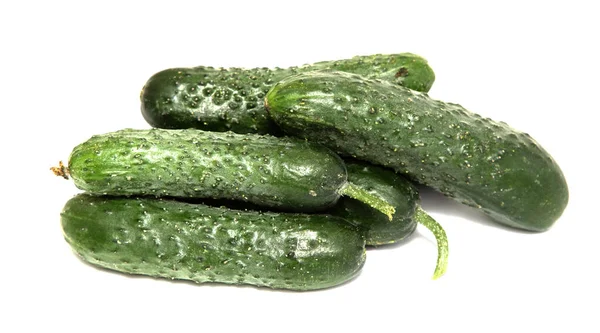 Fresh Small Cucumbers Pimples White Background Macro Photo Food Vegetable — Stock Photo, Image