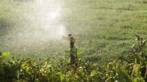 Irrigation System Watering Green Grass Blurred Background — Stock Video