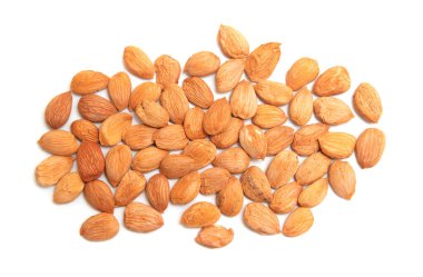 Kayısı çekirdekleri beyaz arkaplanda izole edilir.